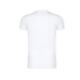 Camiseta Adulto Blanca Iconic