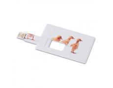Creditcard. USB flash 4GB