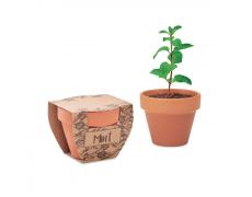 Maceta con semillas de menta