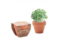 Maceta con semillas de berro