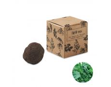 Kit de semillas de hierbas