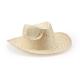 SOMBRERO HALLEY