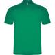 POLO AUSTRAL