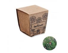 Kit de cultivo de girasoles