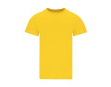 Camiseta Adulto Color Stiles