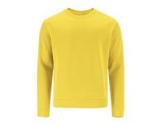 Sudadera Adulto Cosmos