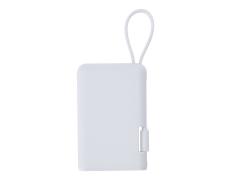 Power Bank Brandin