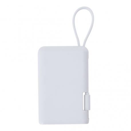 Power Bank Brandin