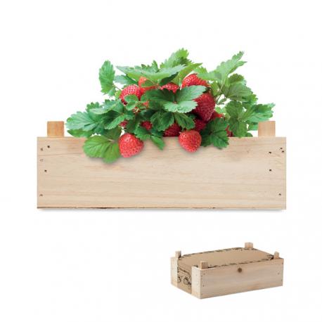 Kit de fresas en caja madera - Imagen 1