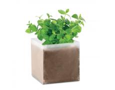 Bolsa semillas de menta - Imagen 1