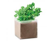 Bolsa con semillas de perejil - Imagen 1