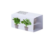 Set Macetas Nertel - Imagen 1