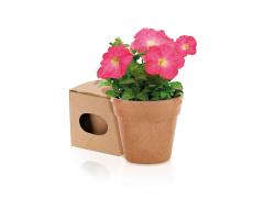 Maceta Advert - Imagen 1