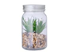 Planta Decorativa Kyala