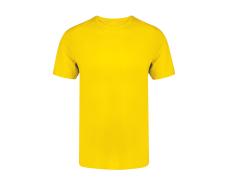Camiseta Adulto Color Seiyo